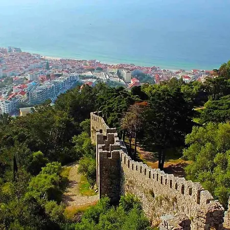 Fe House 塞辛布拉